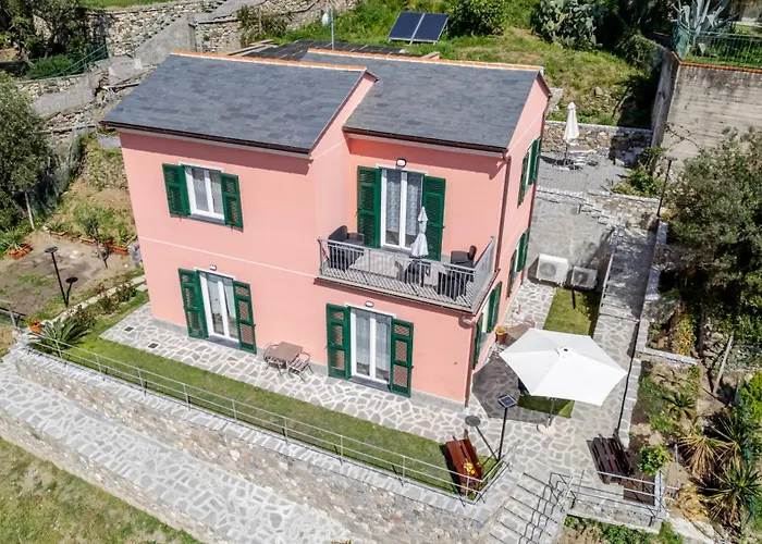 Il Vigneto