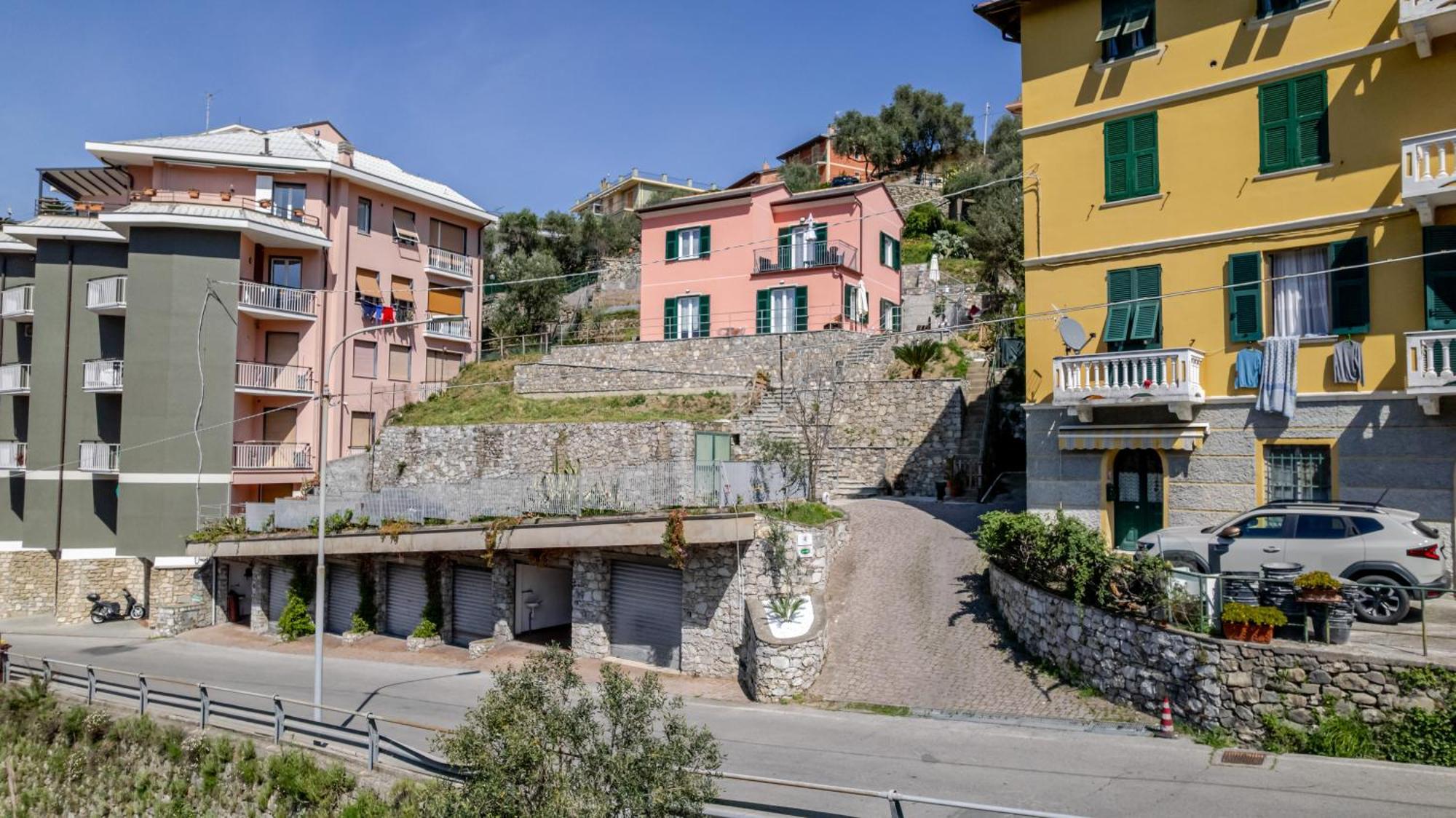 Il Vigneto *